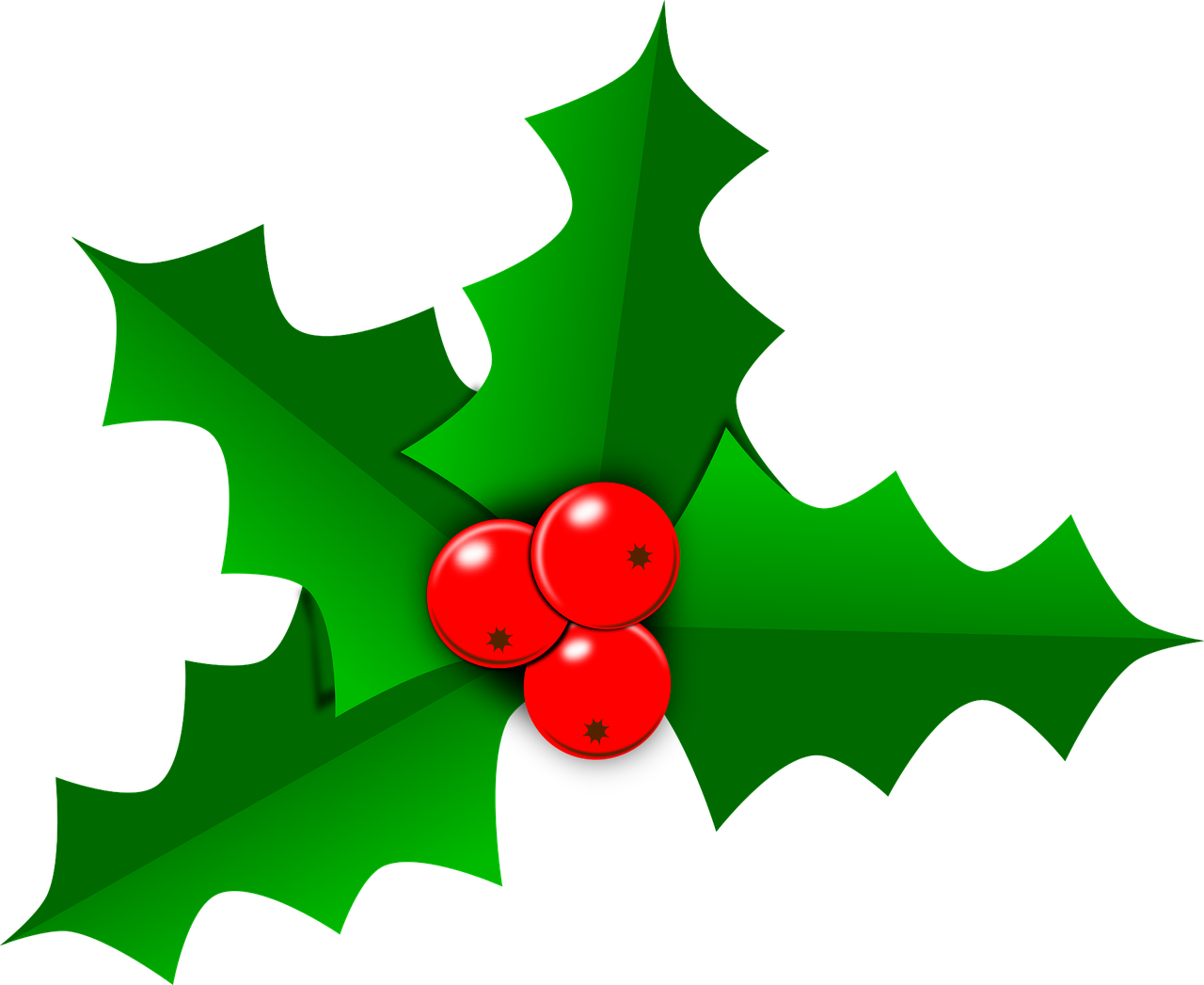 holly-2957539_1280.png